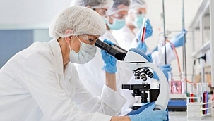 Virüsün kaynağında yeni şüpheliler 