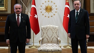 Erdoğan, TBMM Başkanı Şentop'u kabul etti 