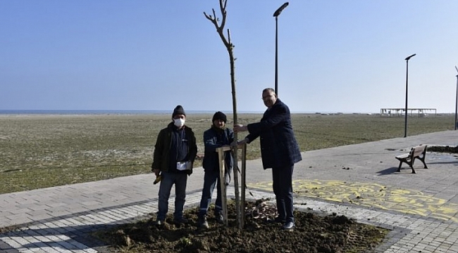 Karacabey sahil yoluna 'yeşil' dokunuş