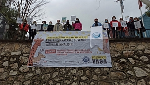 Nilüfer'de hayvan hakları yasası ile ilgili basın açıklaması