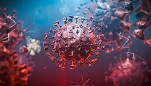 Bilim insanları virüsü tuzağa düşürecek 