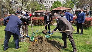 Kestel'de 2021'nci fidan toprakla buluştu 