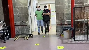 İzmir'de FETÖ operasyonu