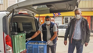 Karacabey'de aşevi ihtiyaç sahiplerine büyük katkı sağlıyor 