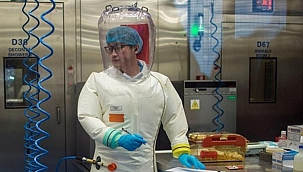 Koronavirüsün kayıp halkası bulundu! 