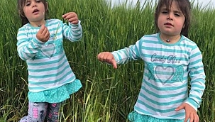 Leyla Aydemir davası yeniden başladı 