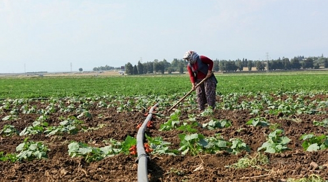 Tarım-ÜFE aylık yüzde 0,79 azaldı