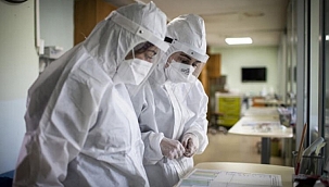 Virüsün kaynağı belli oldu iddiası