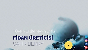 WWW.SAFİRBERRY.COM YENİLENEN YÜZÜYLE YAYINDA 