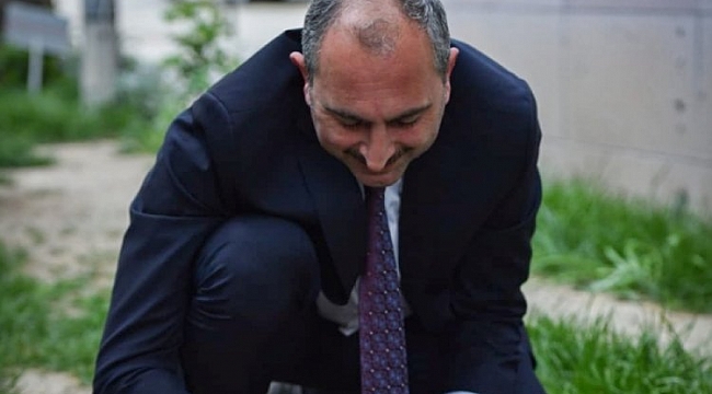 Bakan Gül'den 'Hayvan Hakları Yasası' paylaşımı