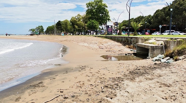 Deniz salyası Karadeniz'de