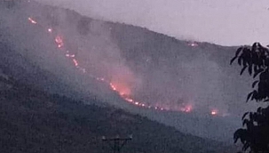 Görese Dağı'ndaki yangın 3 gündür devam ediyor! 
