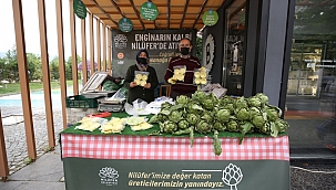 Hasanağa enginarına ulaşmak artık çok kolay 