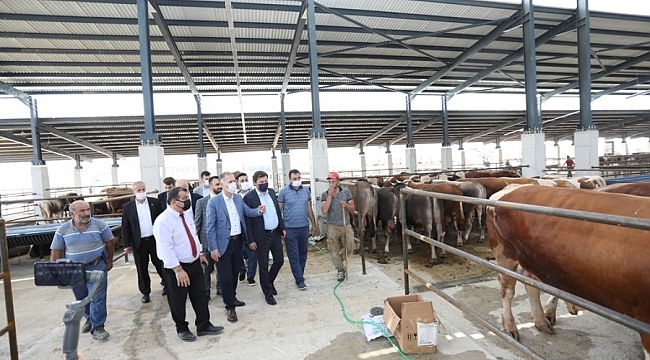 İnegöl'de yeni hayvan pazarında kurbanlıklar satışta