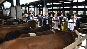 İnegöl'ün tarım yatırımlarına tam not 