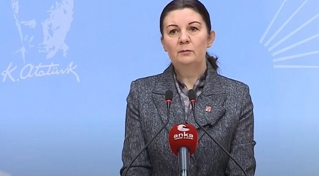 Lale Karabıyık'tan Bakan Selçuk'a LGS'de şaibe sorusu!