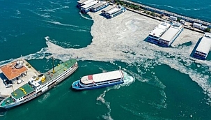 Müsilaj kaygısı: Yine de bir B planımız var