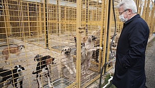 Nilüfer'de can dostlar için önemli karar 