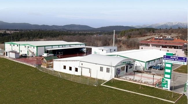 BESAŞ ile Bursa'da çiftçinin yüzü gülüyor