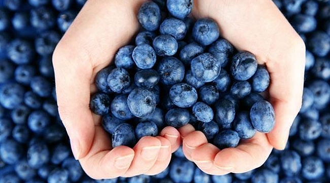 Blueberry’le Kurban Bayramı’nda sağlığınızı koruyun