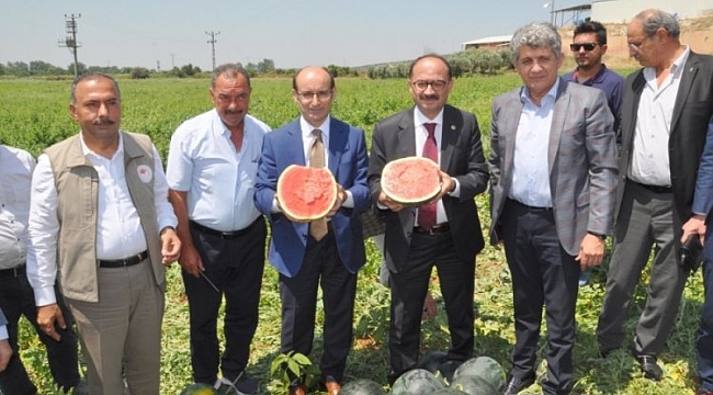 Karacabey'de Karpuz Hasat Şenliği yapıldı