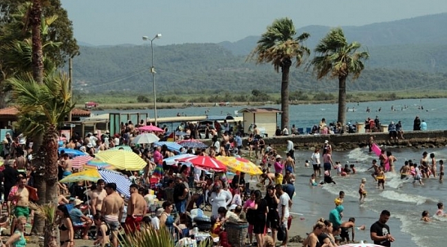 Muğla'da korkutan rakamlar!
