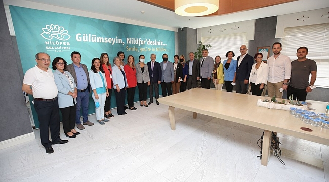 81 ili dolaşan