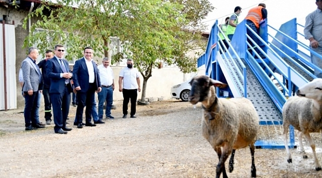 Başkan Kanar'dan, küçükbaş yetiştiricisine tam destek