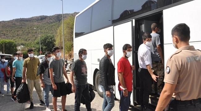Datça'da 48 göçmen yakalandı!