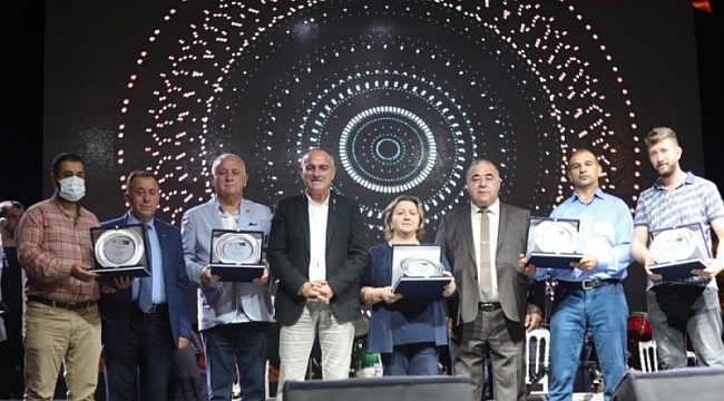 En kaliteli Gemlik zeytini 25 bin liraya satıldı!