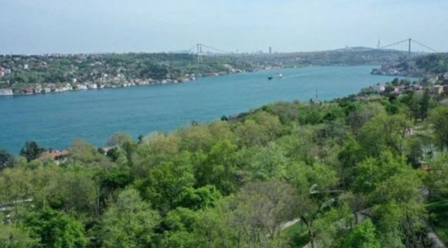 İstanbul'da ormanlara giriş yasağı uzatıldı
