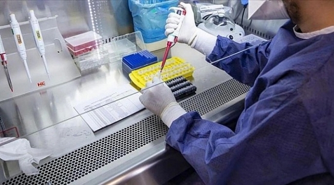 Kare kodu olmayan PCR testleri geçerli değil