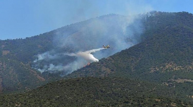 Tunceli'deki orman yangını kontrol altında!