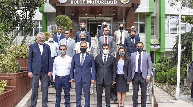 Türk Defnesi tescillendi