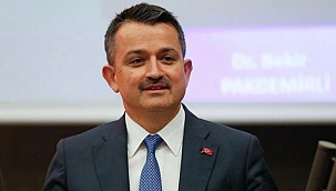 Bakan Pakdemirli'den yanan orman alanlarıyla ilgili son nokta 