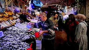 Bursa'da balık bereketi 