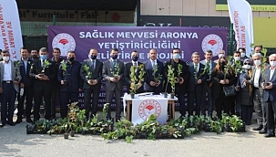 Bursa'nın atıl toprakları 'süper meyve' ile değerlenecek 