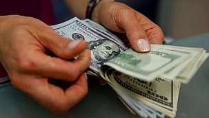 Dolar ve Euro'da son durum!