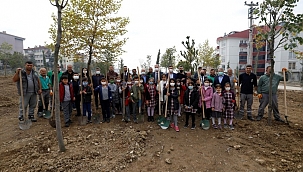 İnegöl'de 63 ağaç toprakla buluştu 