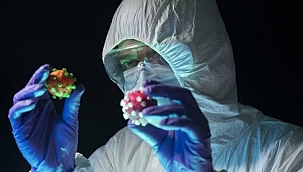 Meksika'da benzeri görülmemiş vaka!