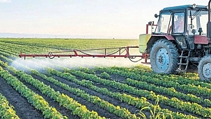 Milyonlarca kişiye geri ödeme müjdesi! 