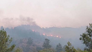 Muğla'nın Dalaman ilçesinde orman yangını! 