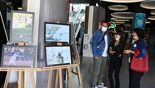 Nilüfer'de sokaktaki 'Can Dostlar' objektiflere yansıdı