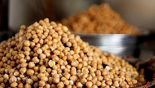 Nohudun ihracatı kayda bağlandı 