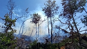 Orman yangınlarına teknolojik tedbir 