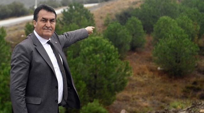 Osmangazi'de 'yeşil' dönüşüm!