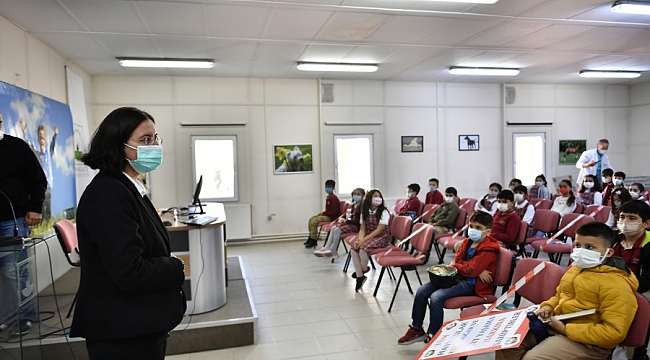 Osmangazi'den Hayvanları Koruma Günü etkinliği