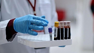 Türkiye'de yatırım yapacaklar 