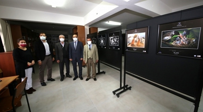 Bursa'da ödüllü fotoğraflar sergilenmeye başladı
