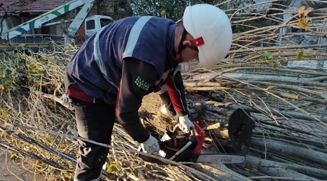Bursa'da şiddetli lodos enerji hatlarını tahrip etti
